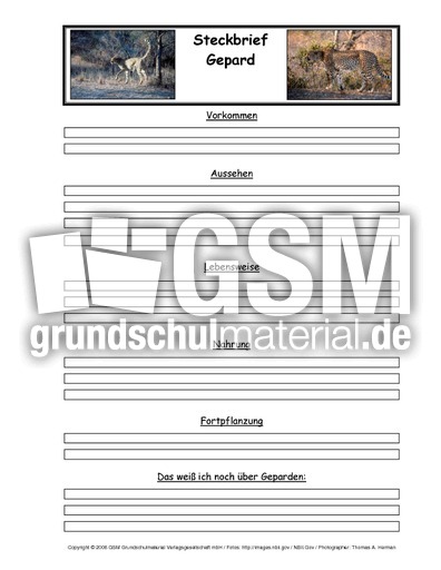 Gepard-Tiersteckbriefvorlage.pdf